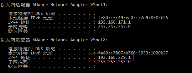 vmware8_ipconfig